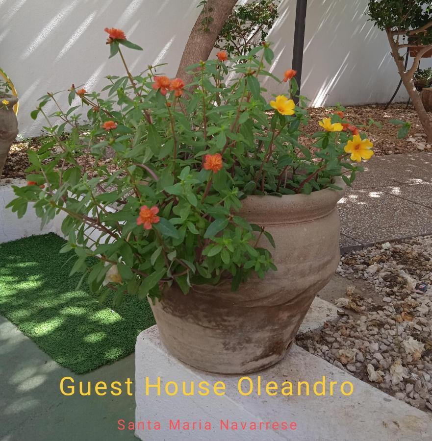 Guest House Oleandro Santa Maria Navarrese Buitenkant foto